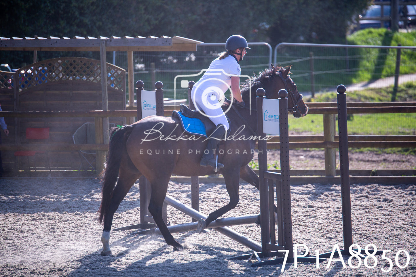 Home Farm Evening Show Jumping 11th June 2025