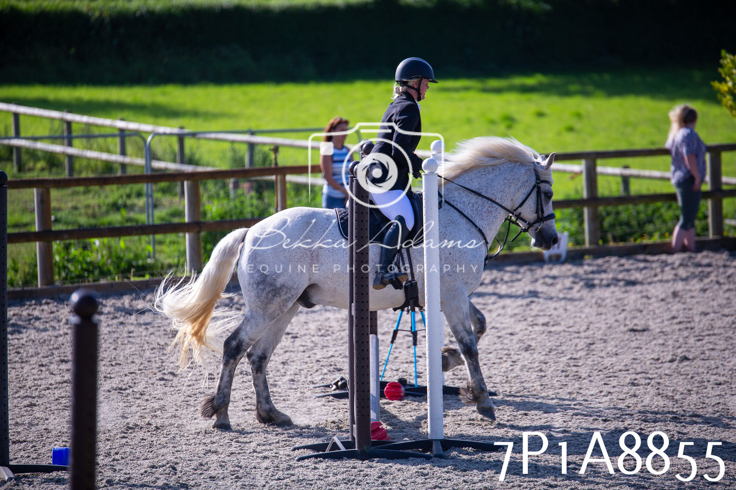 Home Farm Evening Show Jumping 11th June 2025