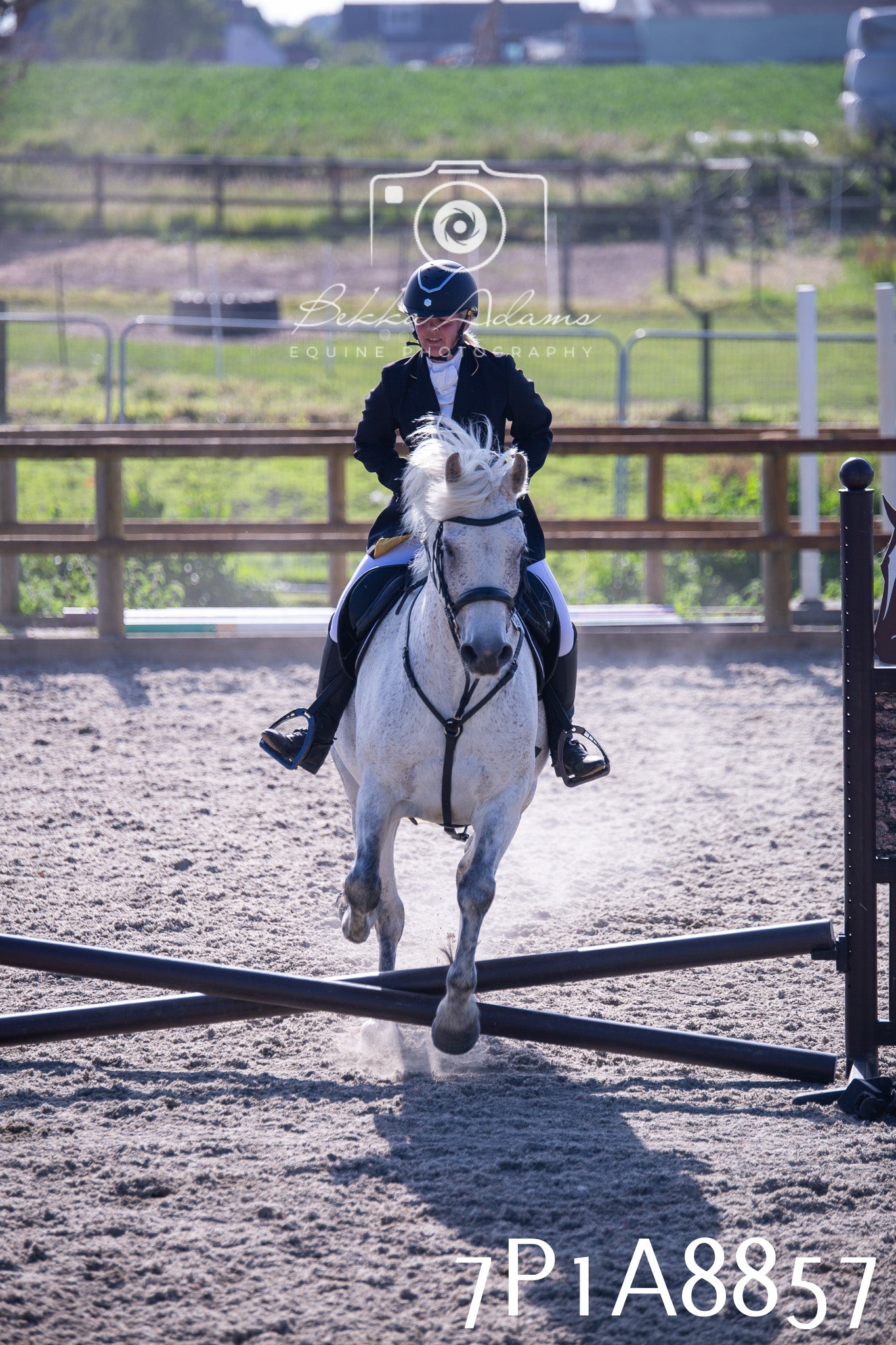 Home Farm Evening Show Jumping 11th June 2025