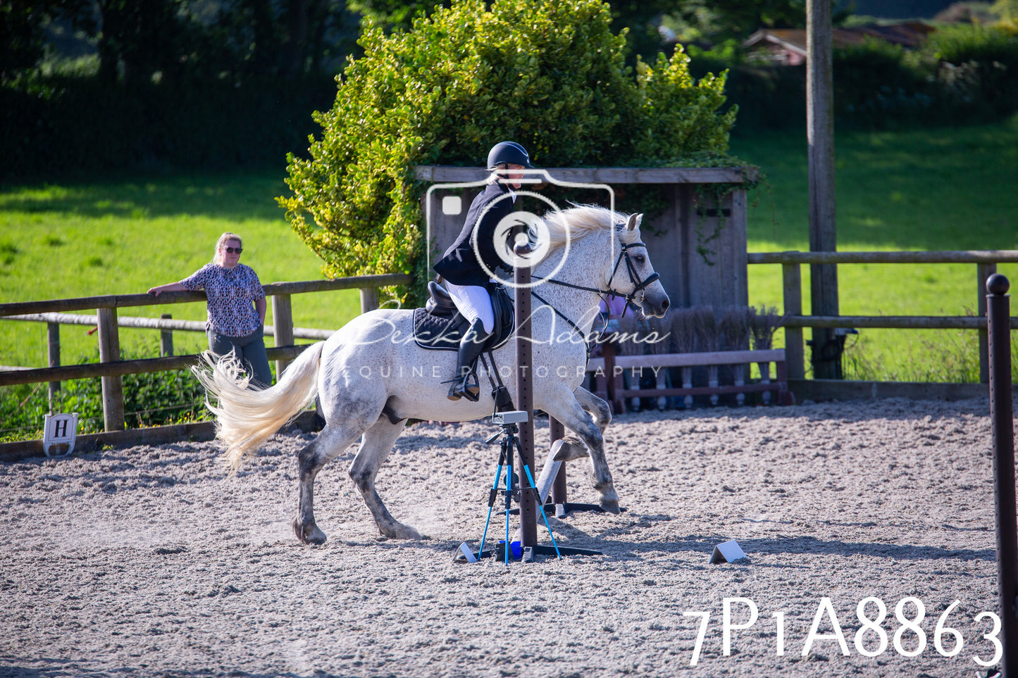 Home Farm Evening Show Jumping 11th June 2025
