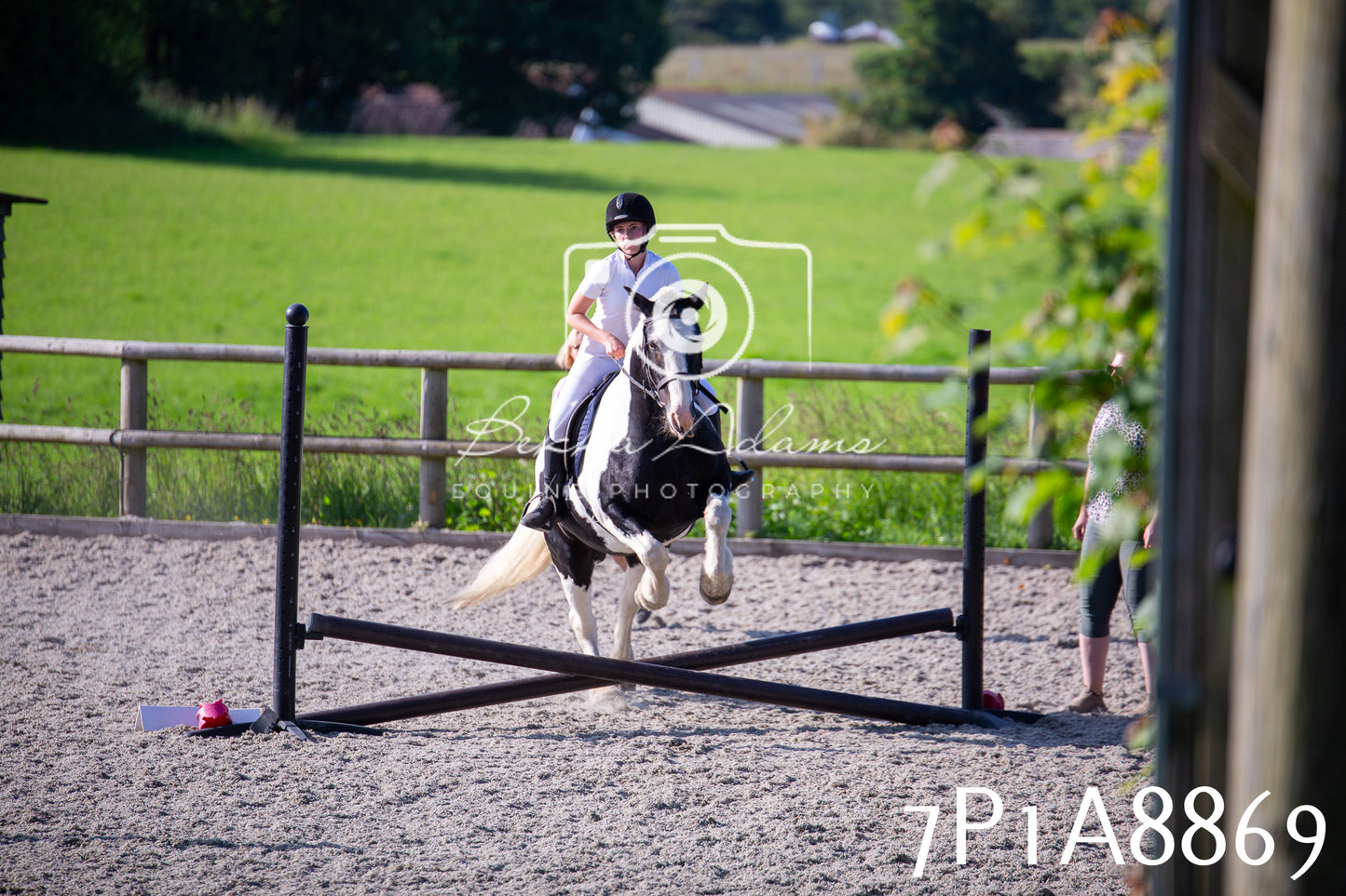Home Farm Evening Show Jumping 11th June 2025