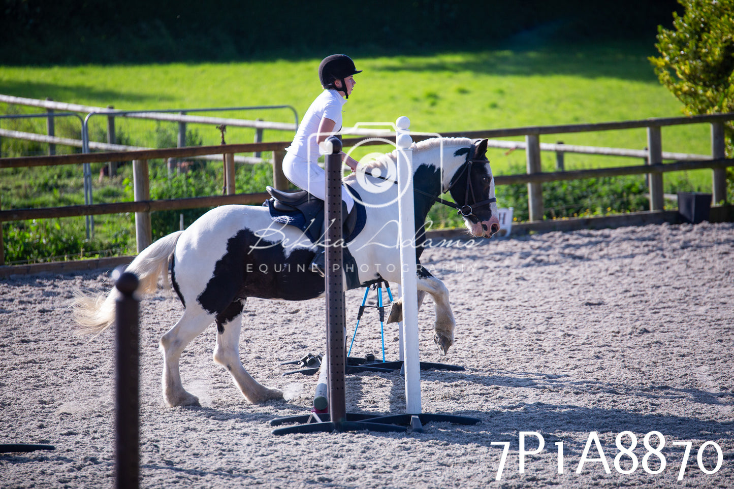 Home Farm Evening Show Jumping 11th June 2025