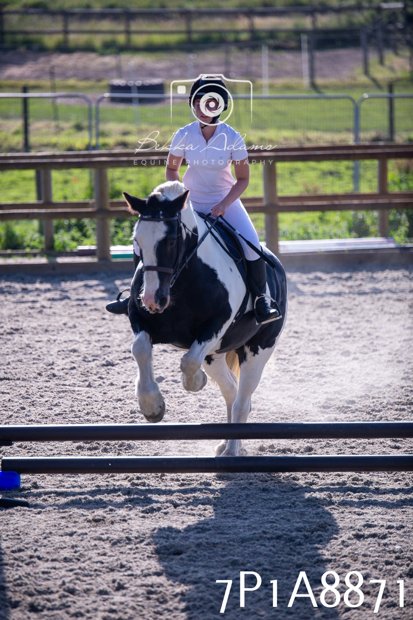 Home Farm Evening Show Jumping 11th June 2025