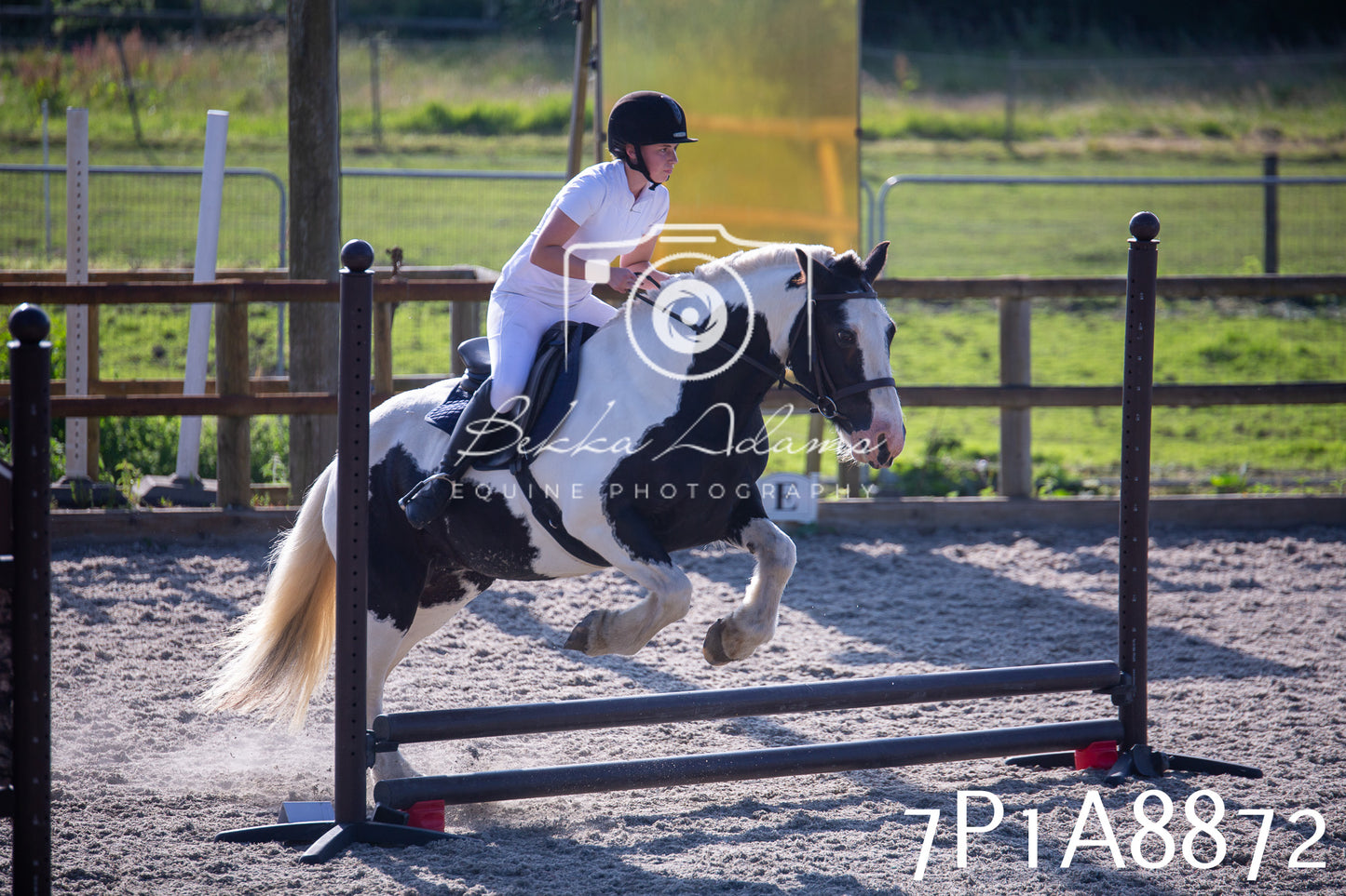 Home Farm Evening Show Jumping 11th June 2025