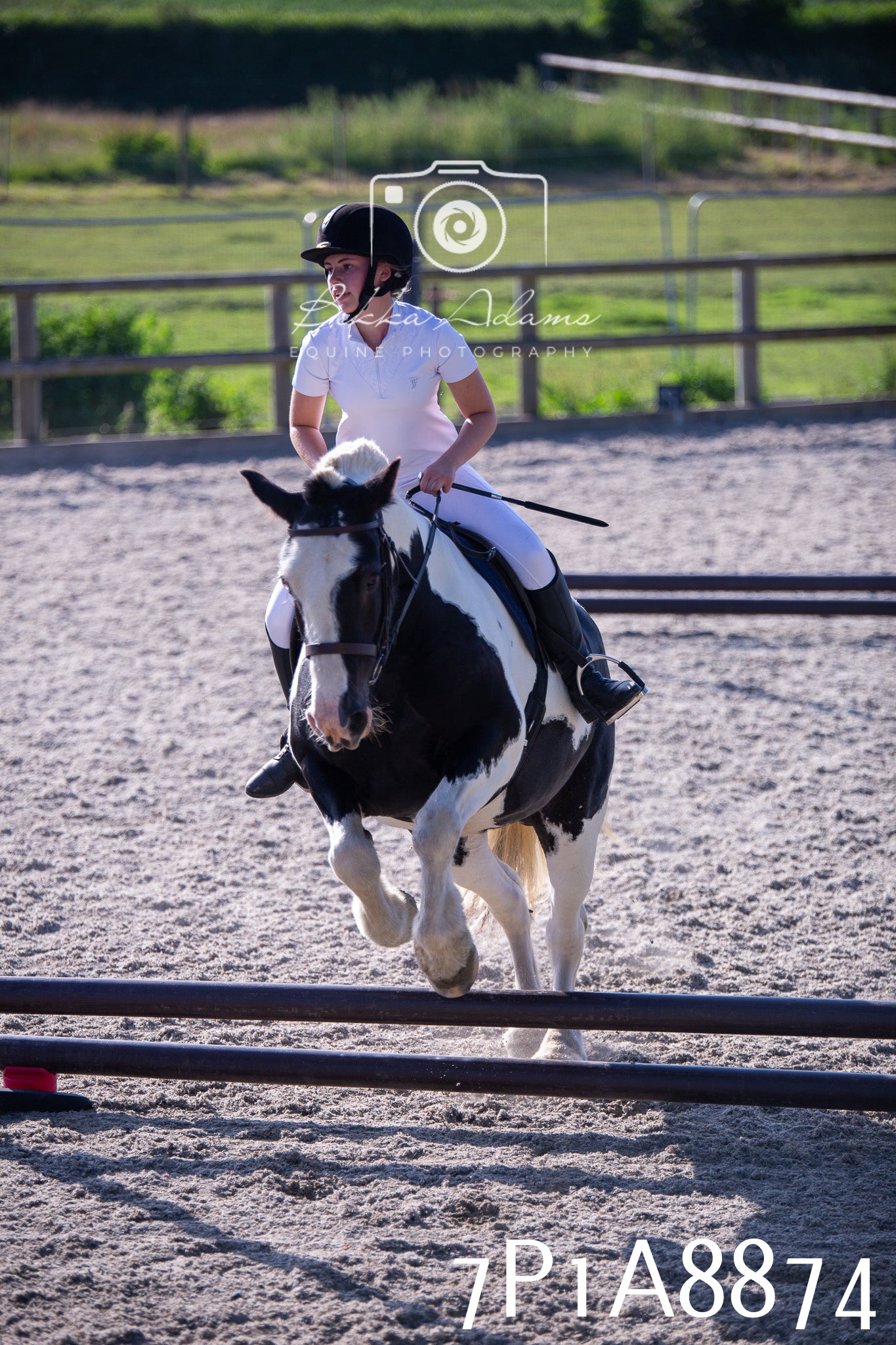 Home Farm Evening Show Jumping 11th June 2025