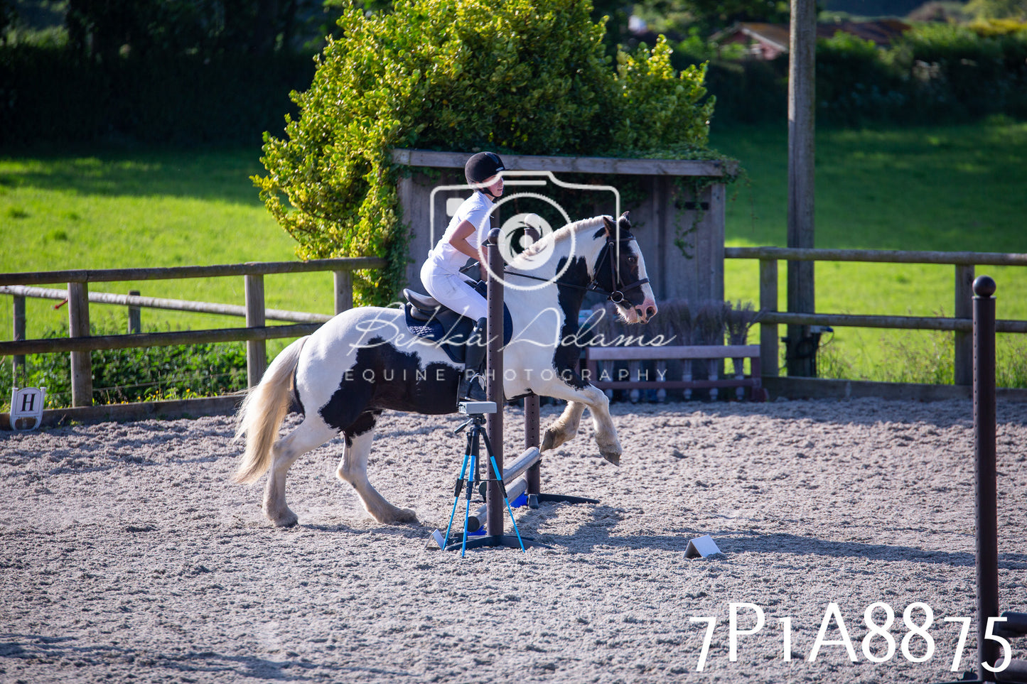 Home Farm Evening Show Jumping 11th June 2025