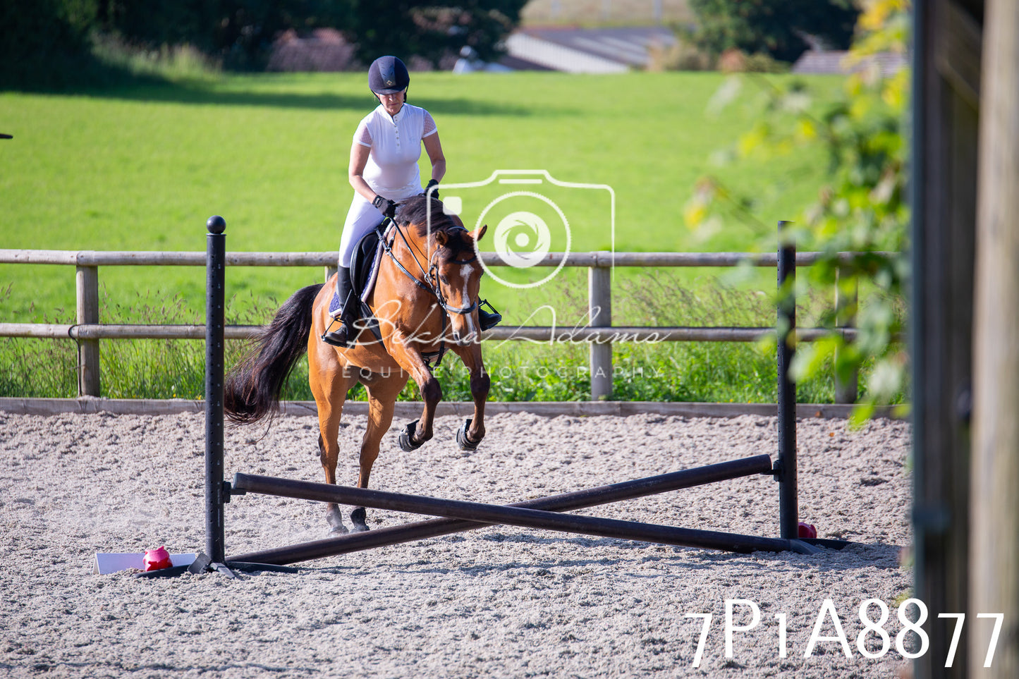 Home Farm Evening Show Jumping 11th June 2025