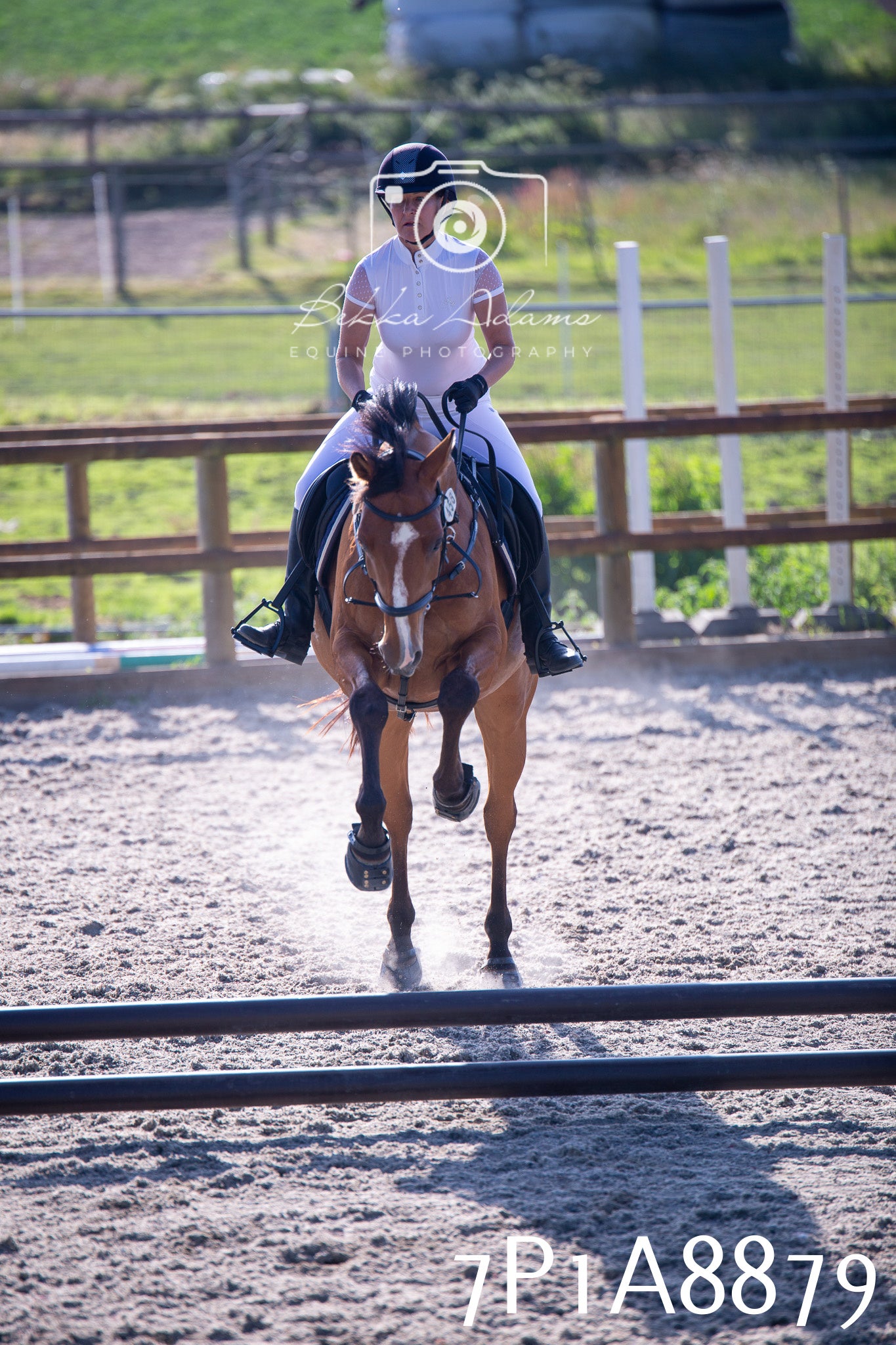 Home Farm Evening Show Jumping 11th June 2025