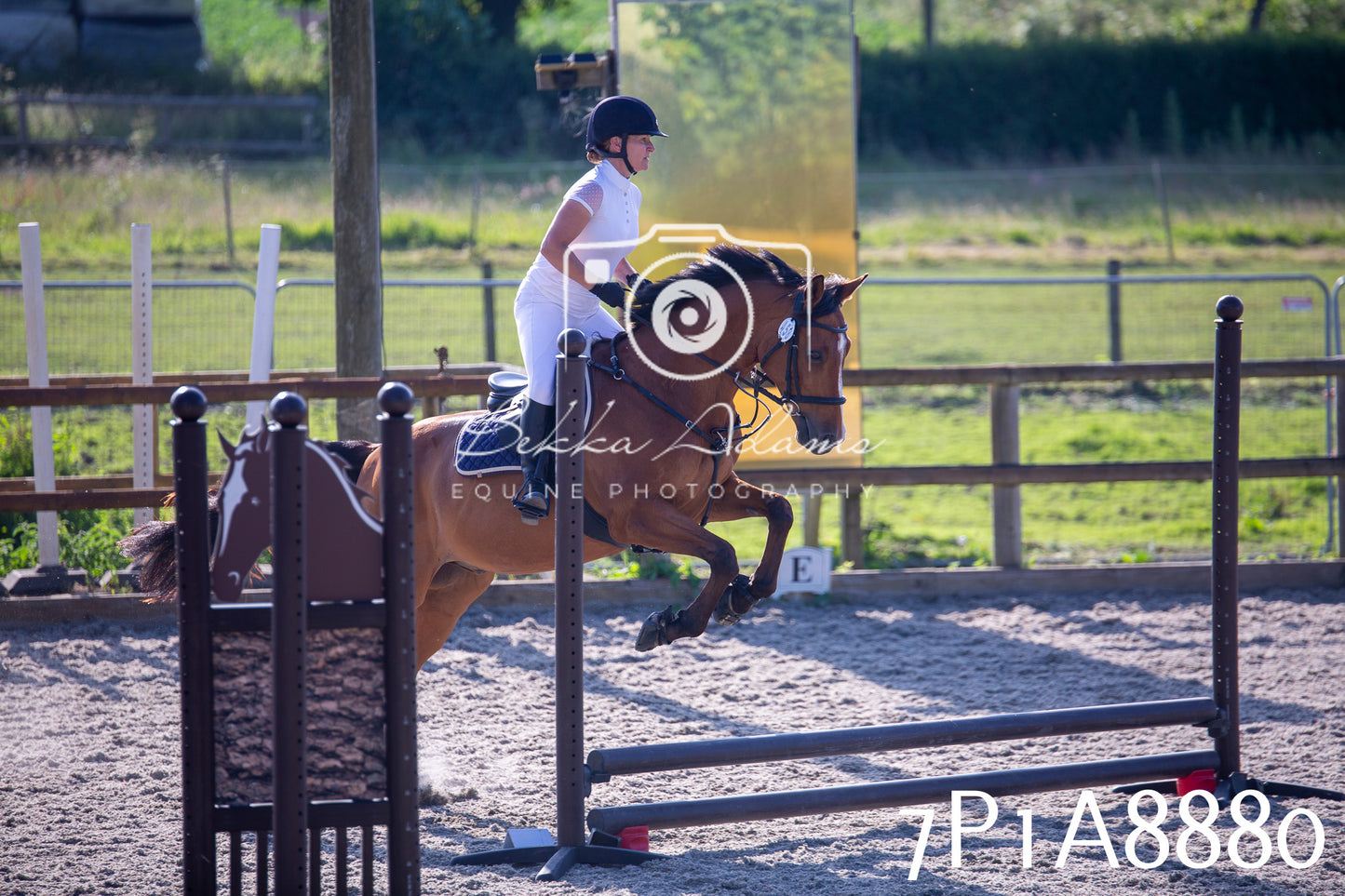 Home Farm Evening Show Jumping 11th June 2025