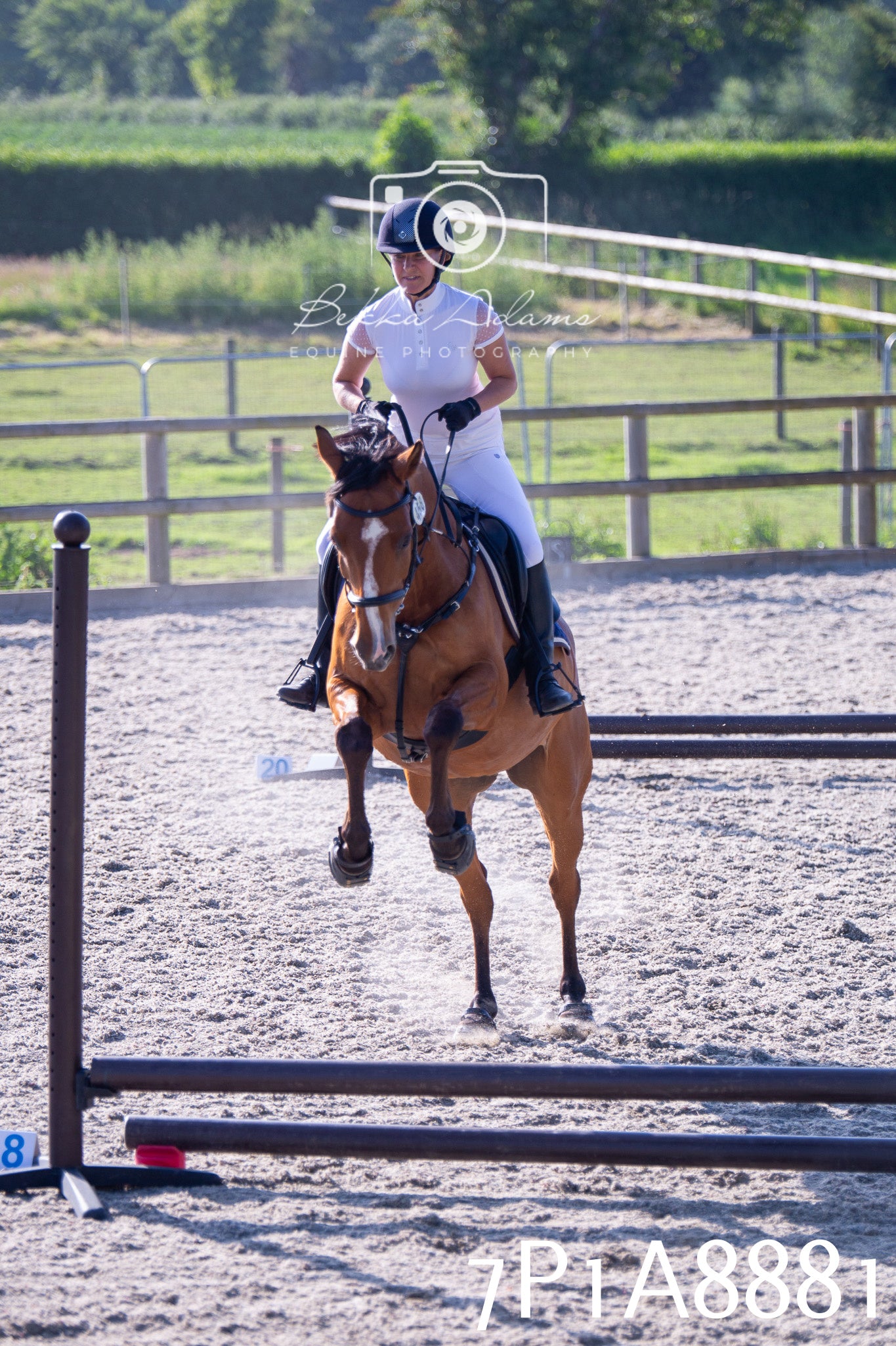 Home Farm Evening Show Jumping 11th June 2025