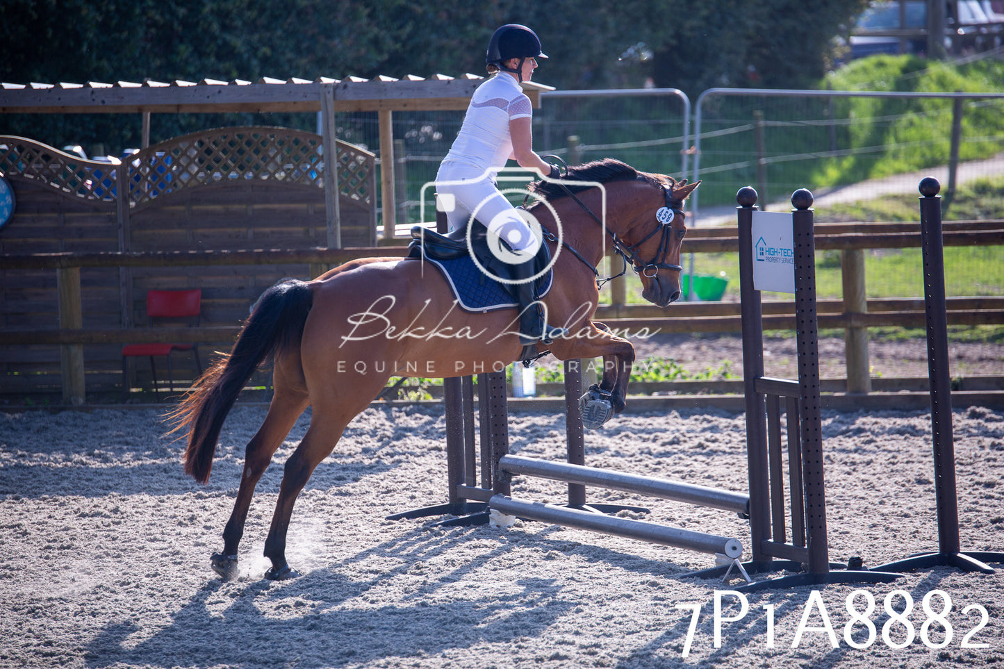 Home Farm Evening Show Jumping 11th June 2025