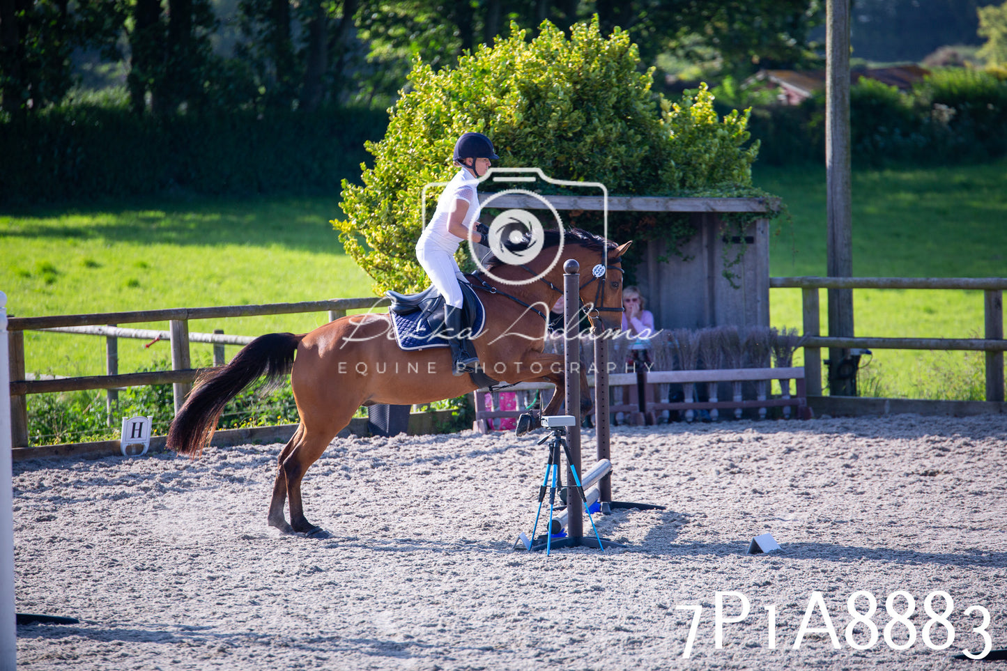 Home Farm Evening Show Jumping 11th June 2025