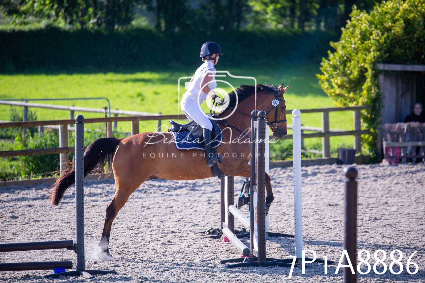 Home Farm Evening Show Jumping 11th June 2025