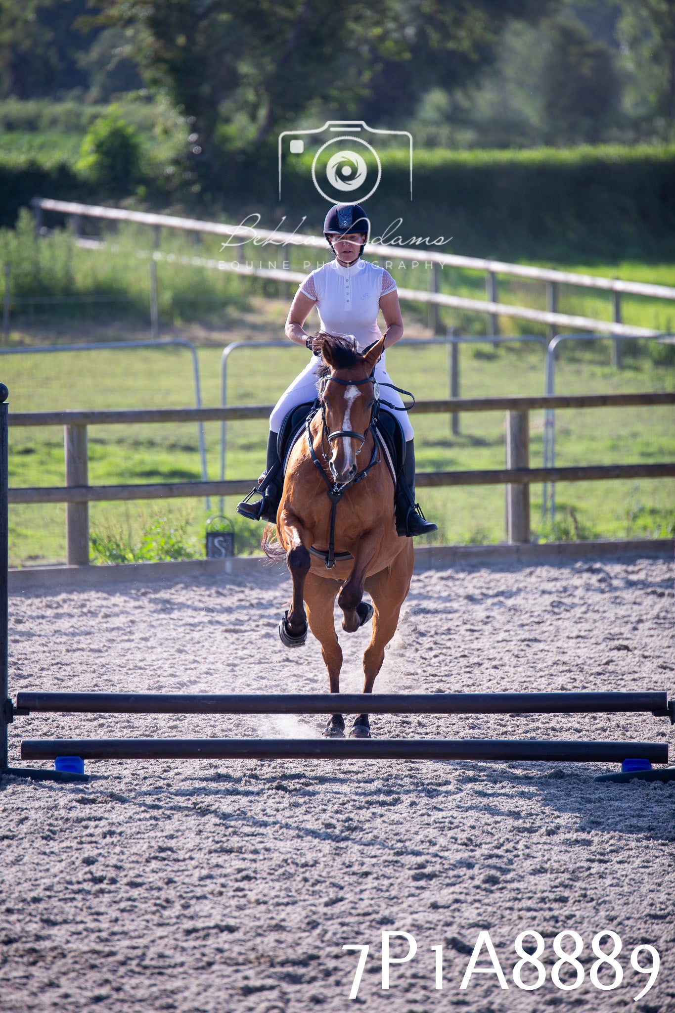 Home Farm Evening Show Jumping 11th June 2025
