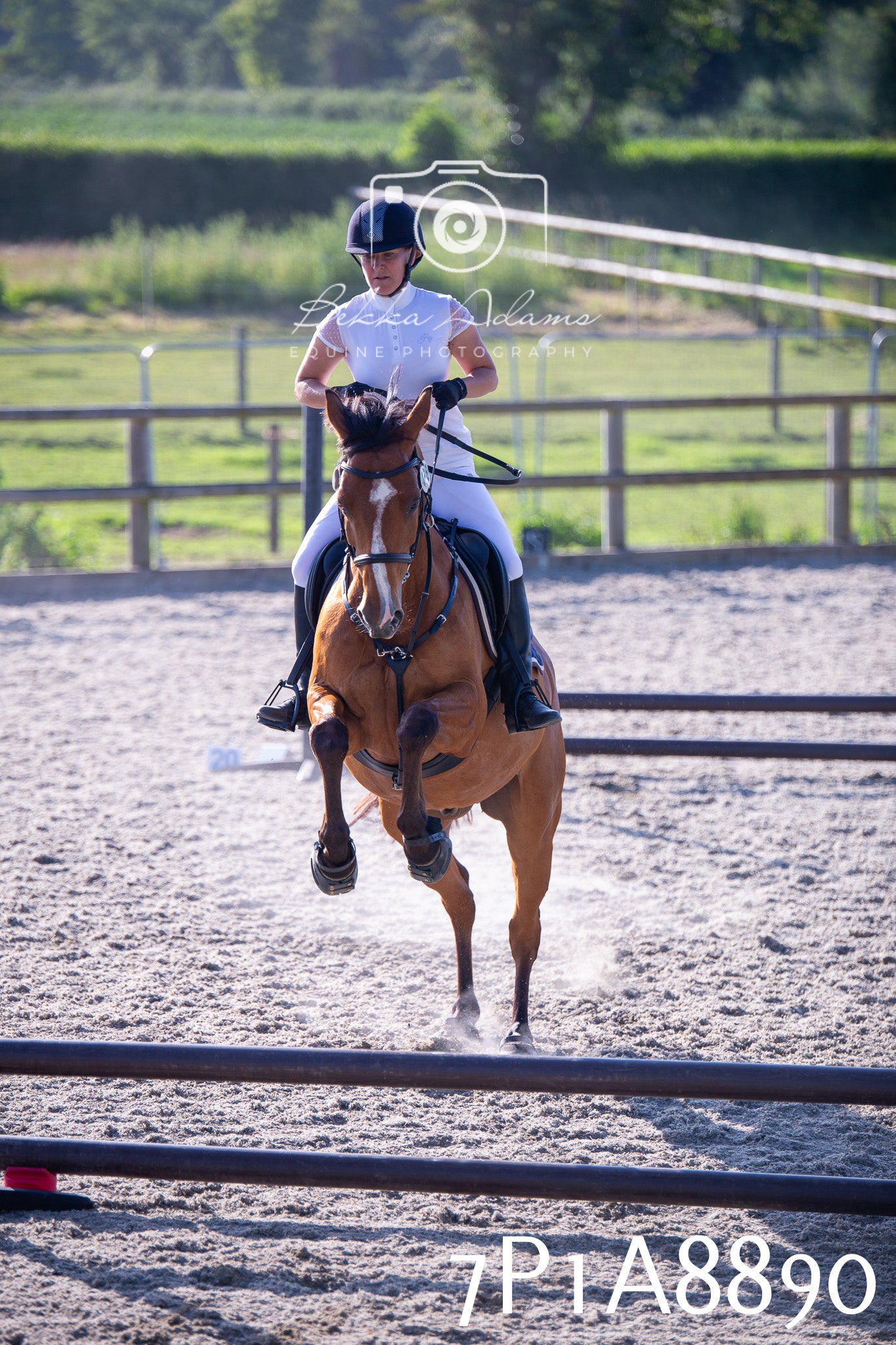 Home Farm Evening Show Jumping 11th June 2025