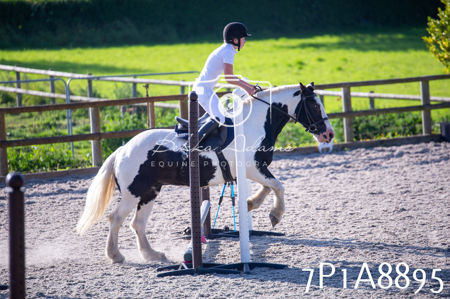 Home Farm Evening Show Jumping 11th June 2025