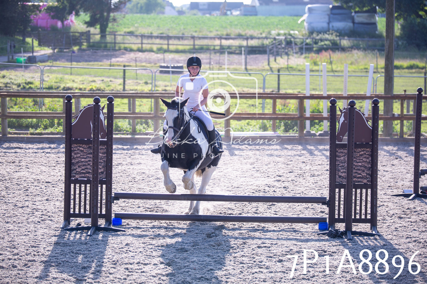 Home Farm Evening Show Jumping 11th June 2025
