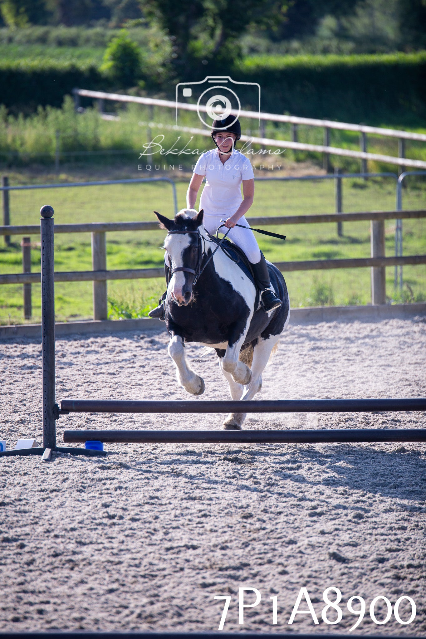 Home Farm Evening Show Jumping 11th June 2025