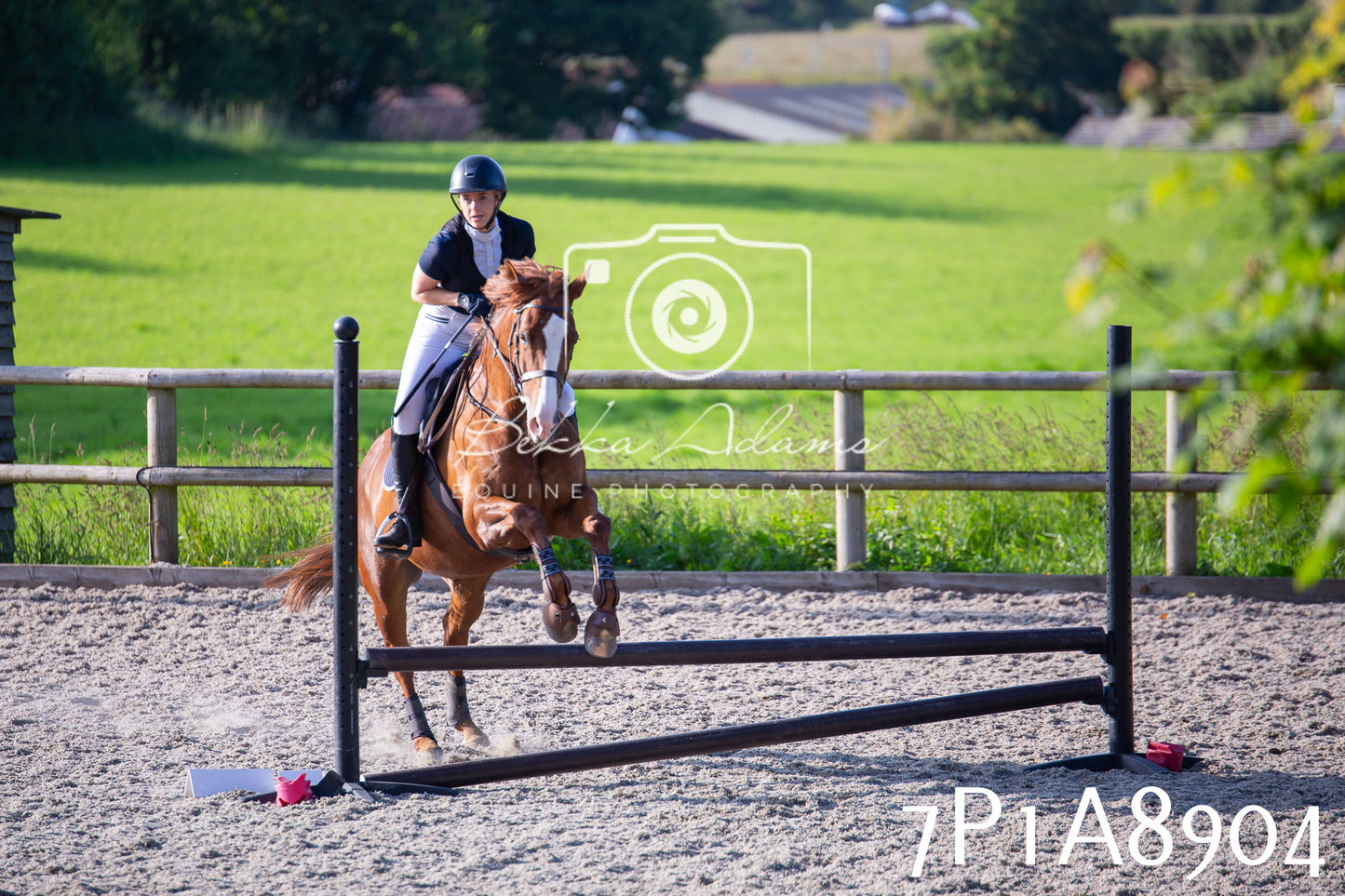 Home Farm Evening Show Jumping 11th June 2025