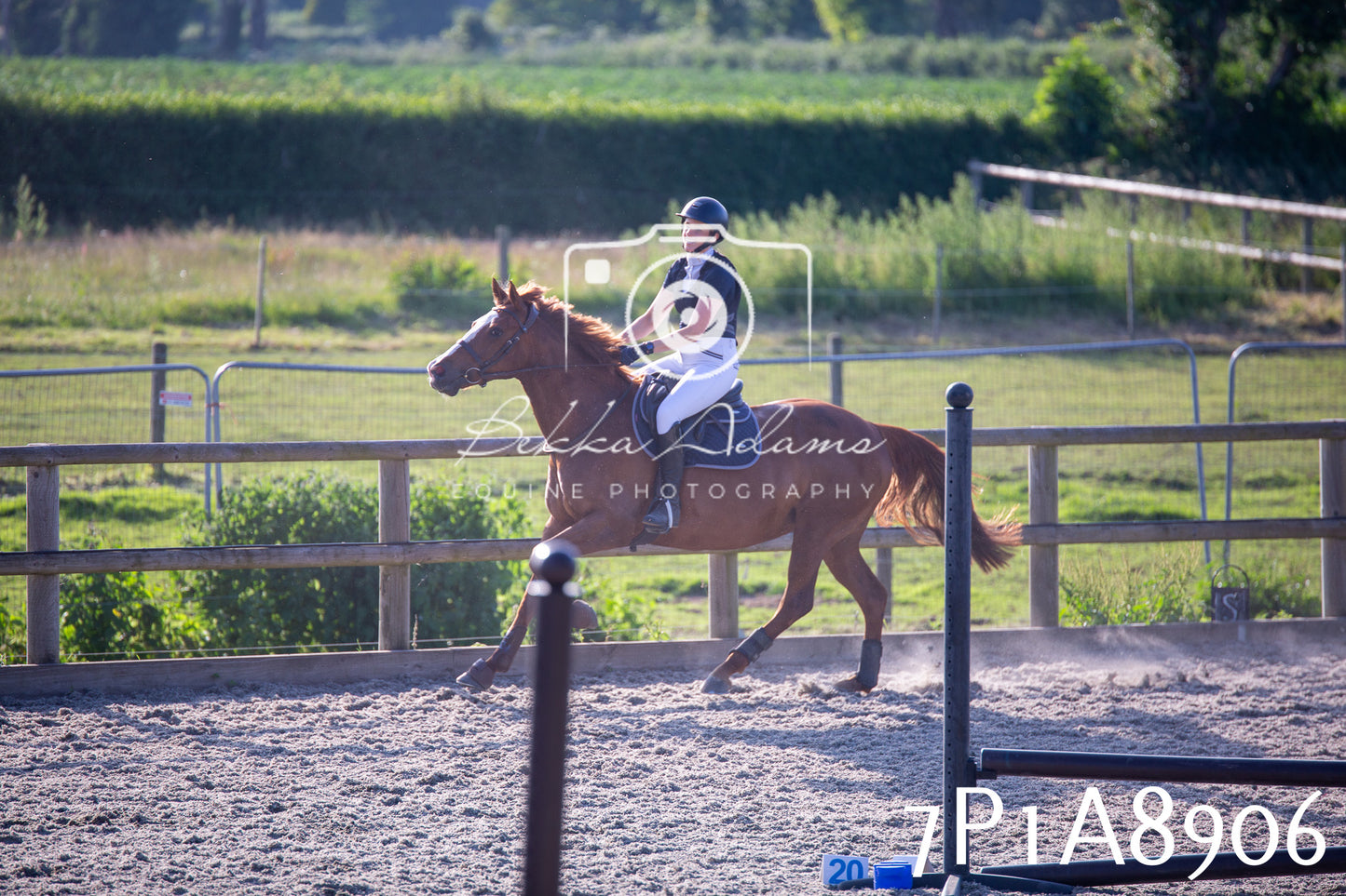 Home Farm Evening Show Jumping 11th June 2025
