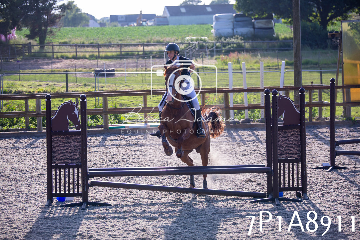 Home Farm Evening Show Jumping 11th June 2025
