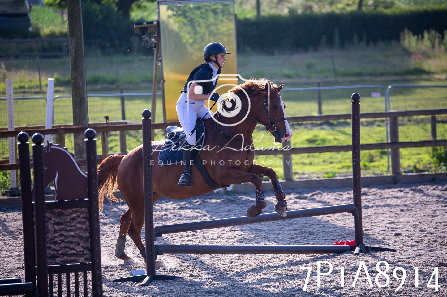Home Farm Evening Show Jumping 11th June 2025