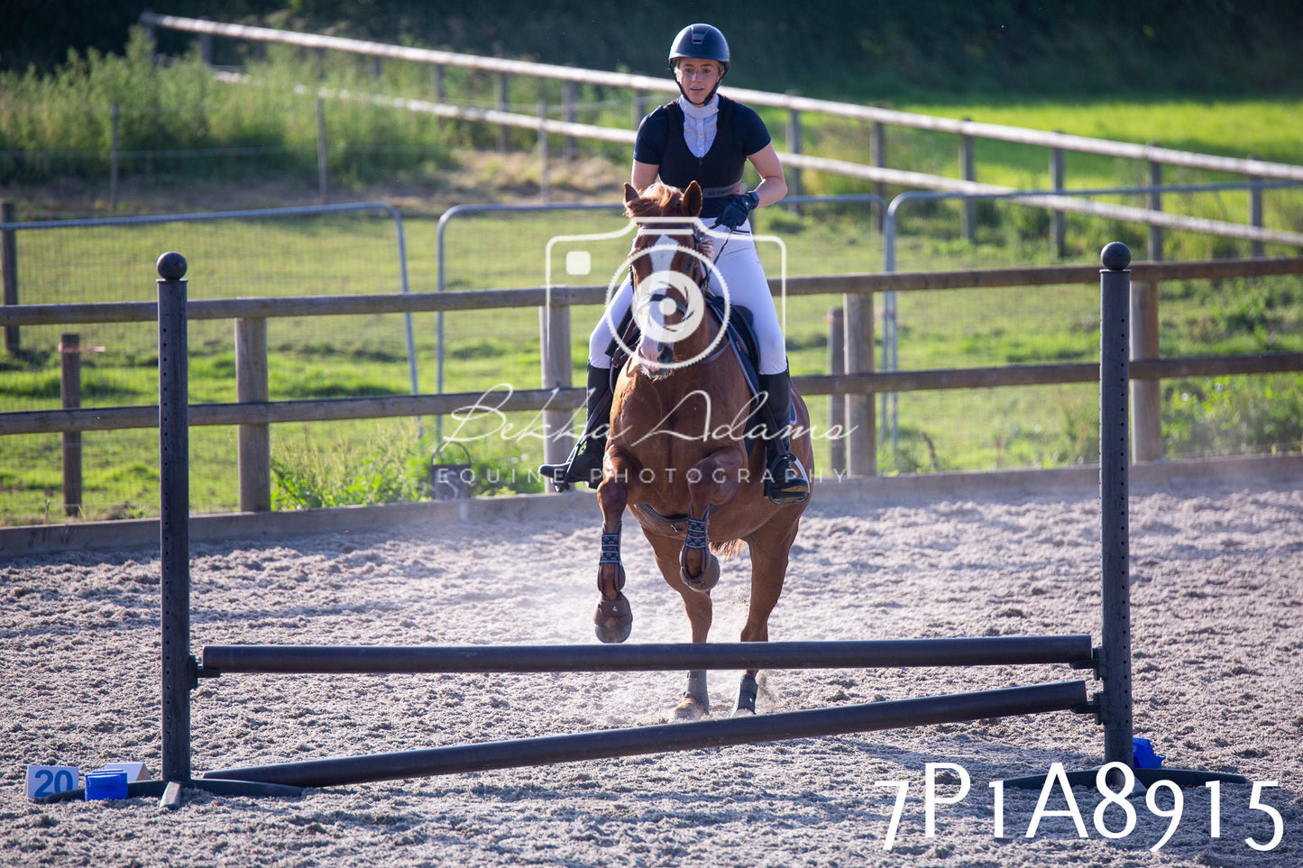 Home Farm Evening Show Jumping 11th June 2025