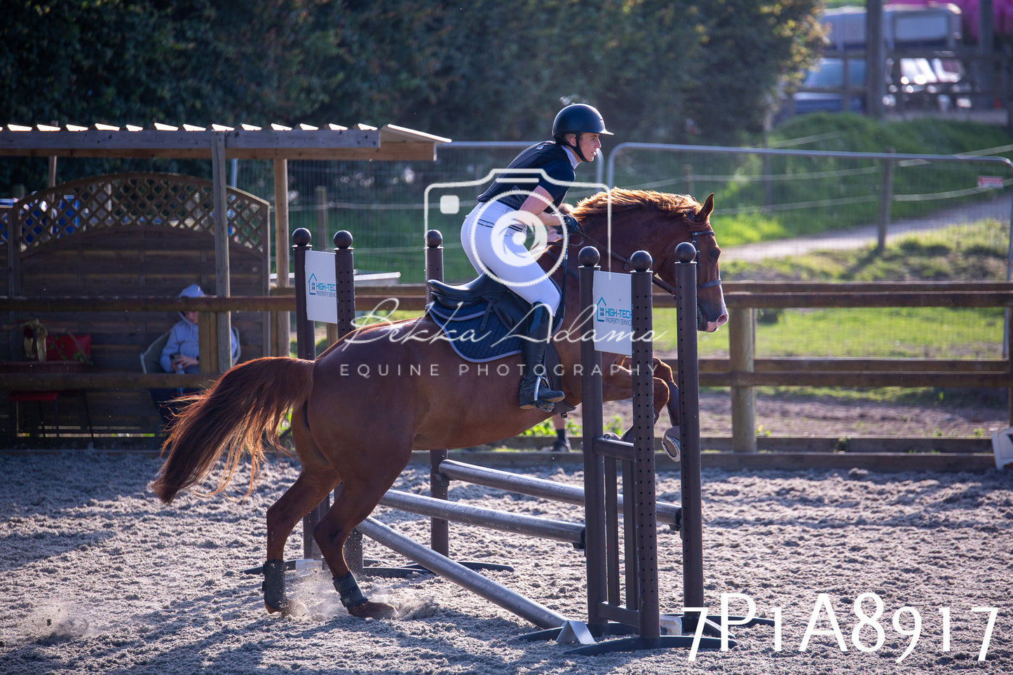 Home Farm Evening Show Jumping 11th June 2025