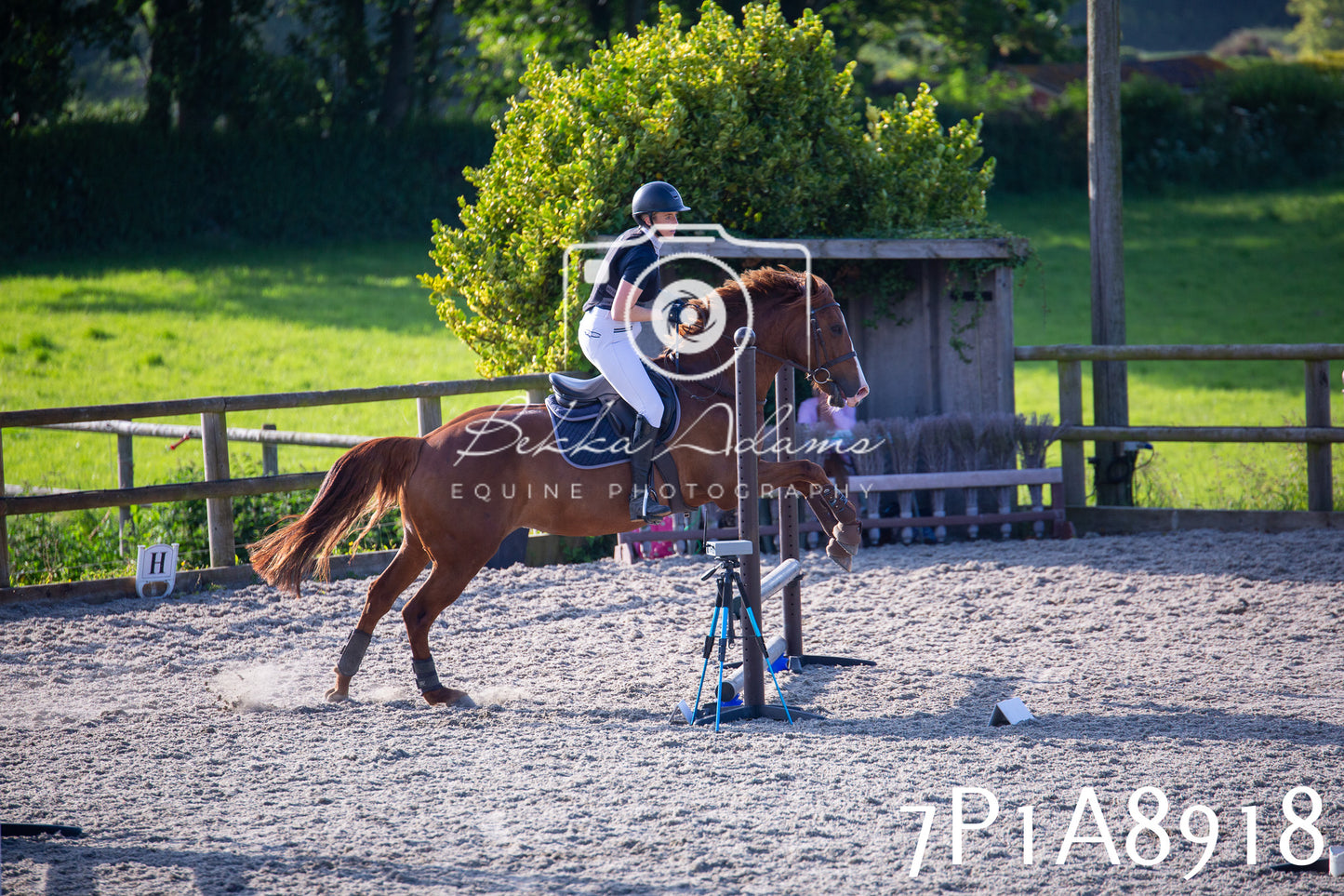Home Farm Evening Show Jumping 11th June 2025