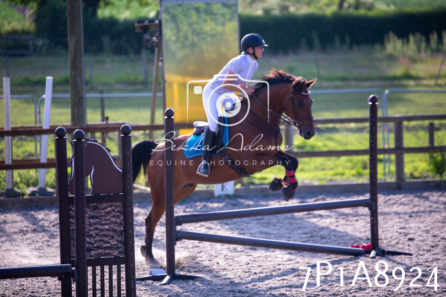 Home Farm Evening Show Jumping 11th June 2025