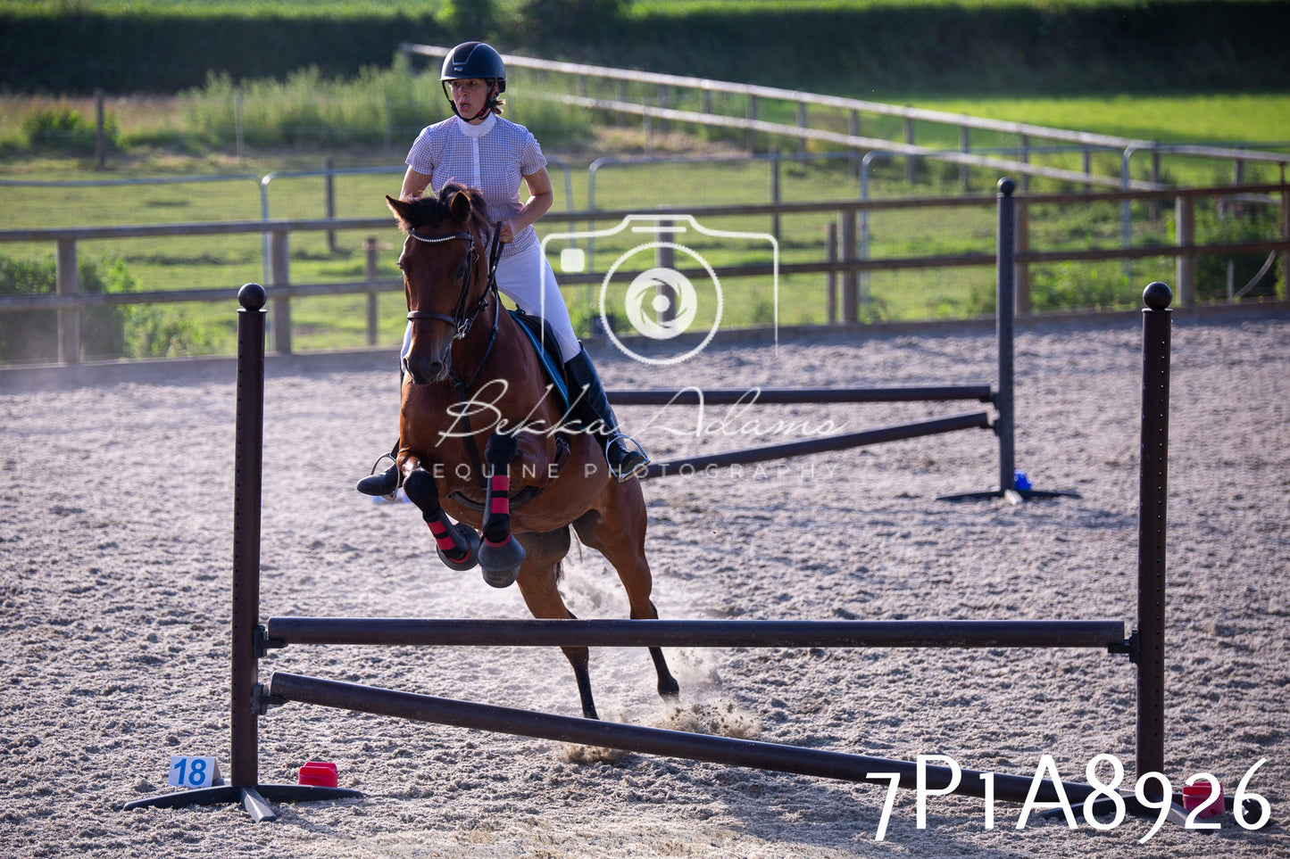 Home Farm Evening Show Jumping 11th June 2025