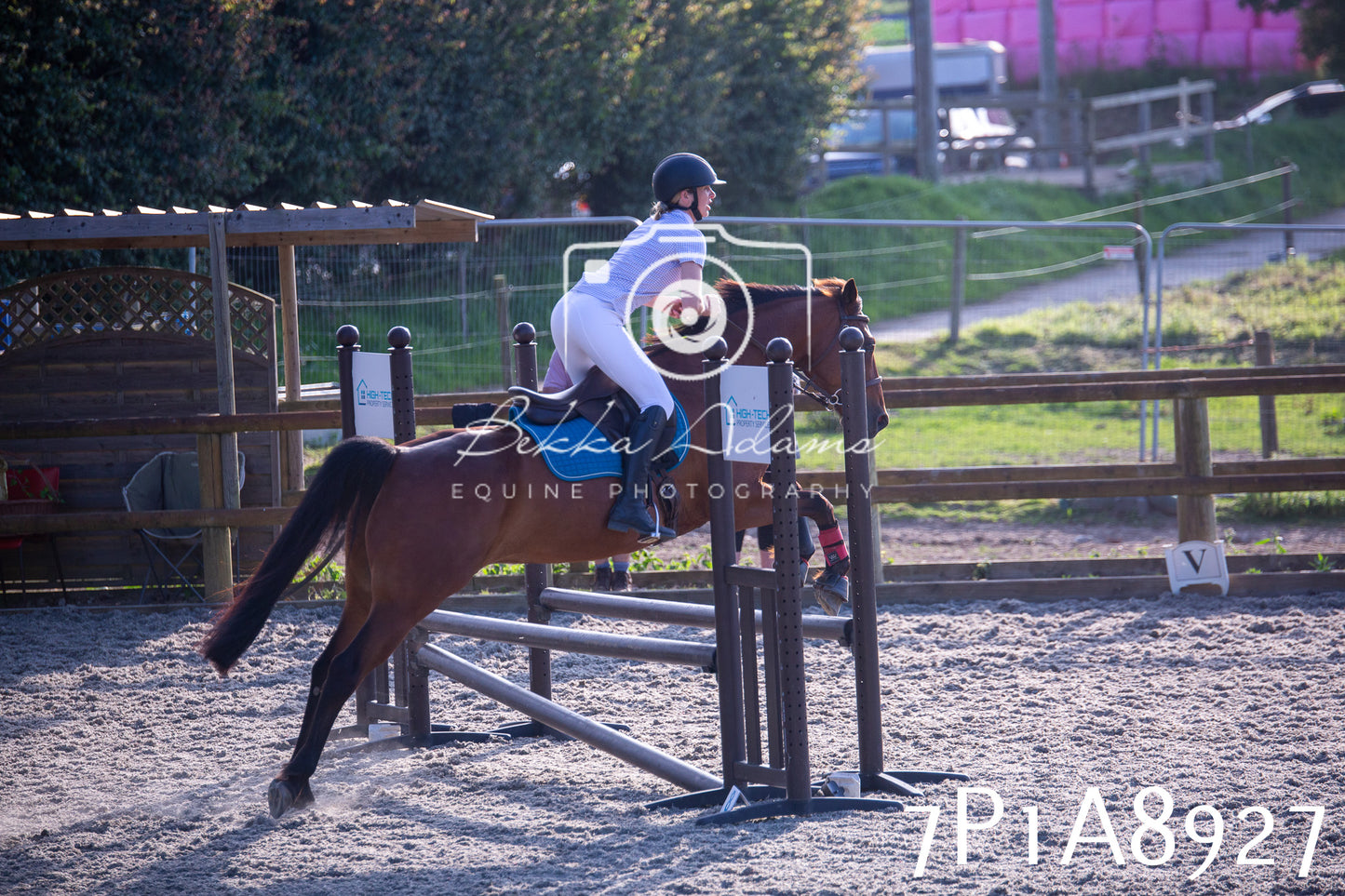Home Farm Evening Show Jumping 11th June 2025