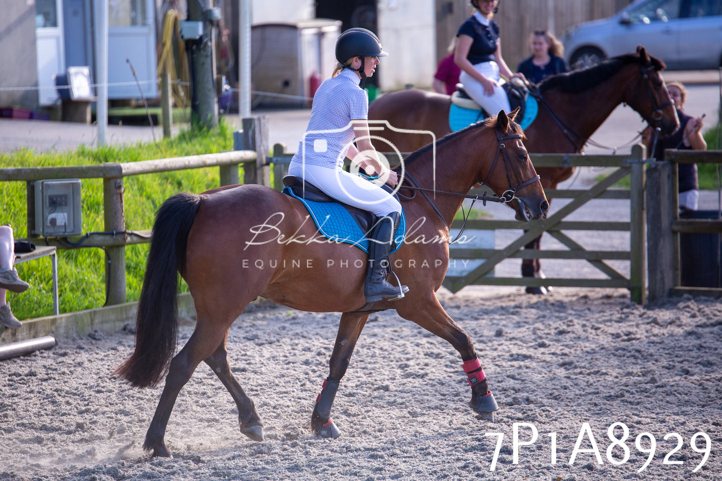 Home Farm Evening Show Jumping 11th June 2025