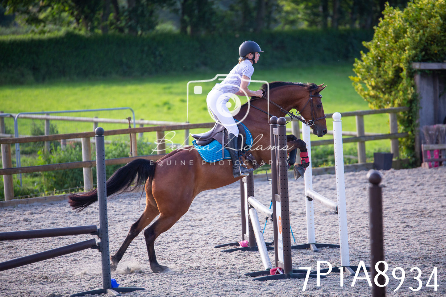 Home Farm Evening Show Jumping 11th June 2025