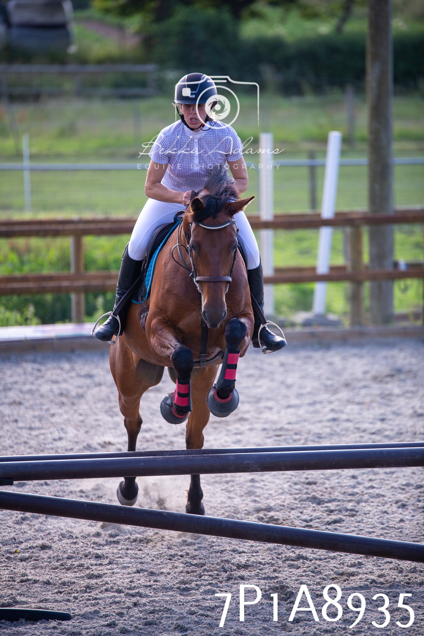 Home Farm Evening Show Jumping 11th June 2025