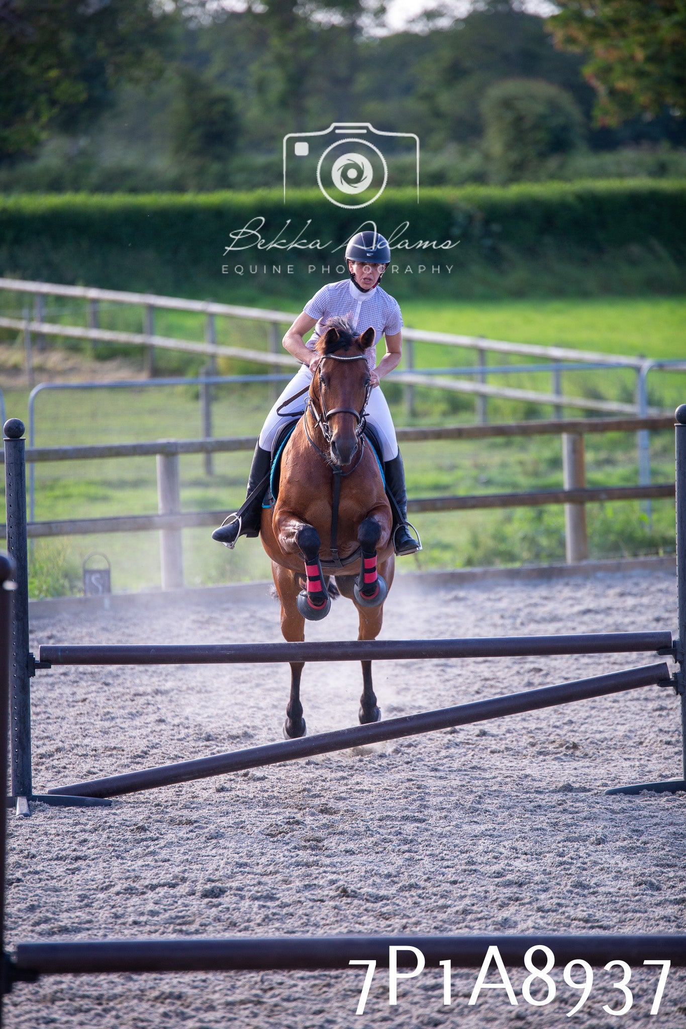 Home Farm Evening Show Jumping 11th June 2025
