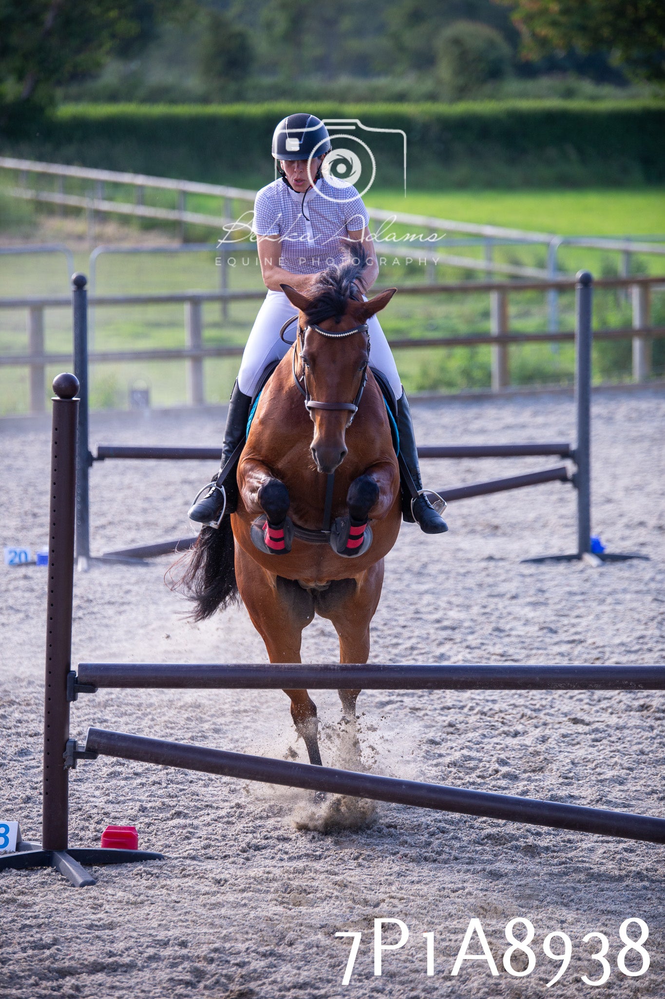 Home Farm Evening Show Jumping 11th June 2025