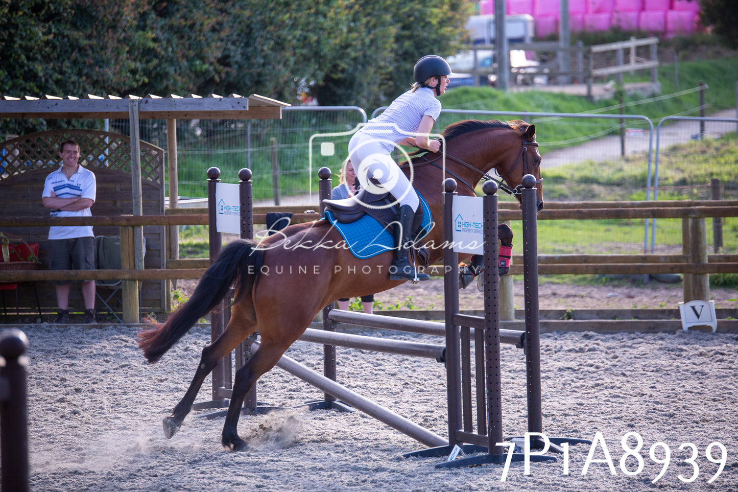 Home Farm Evening Show Jumping 11th June 2025