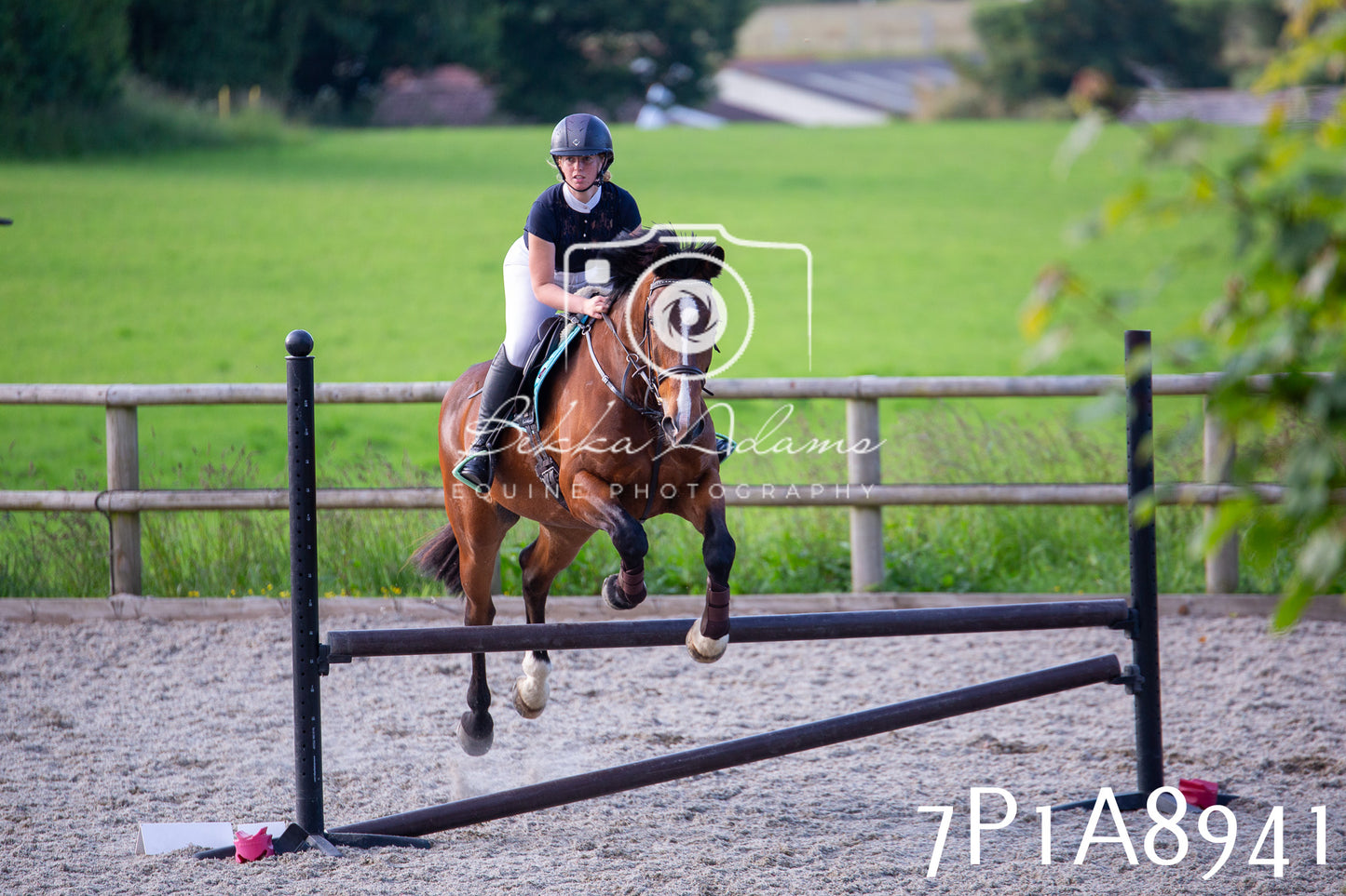 Home Farm Evening Show Jumping 11th June 2025