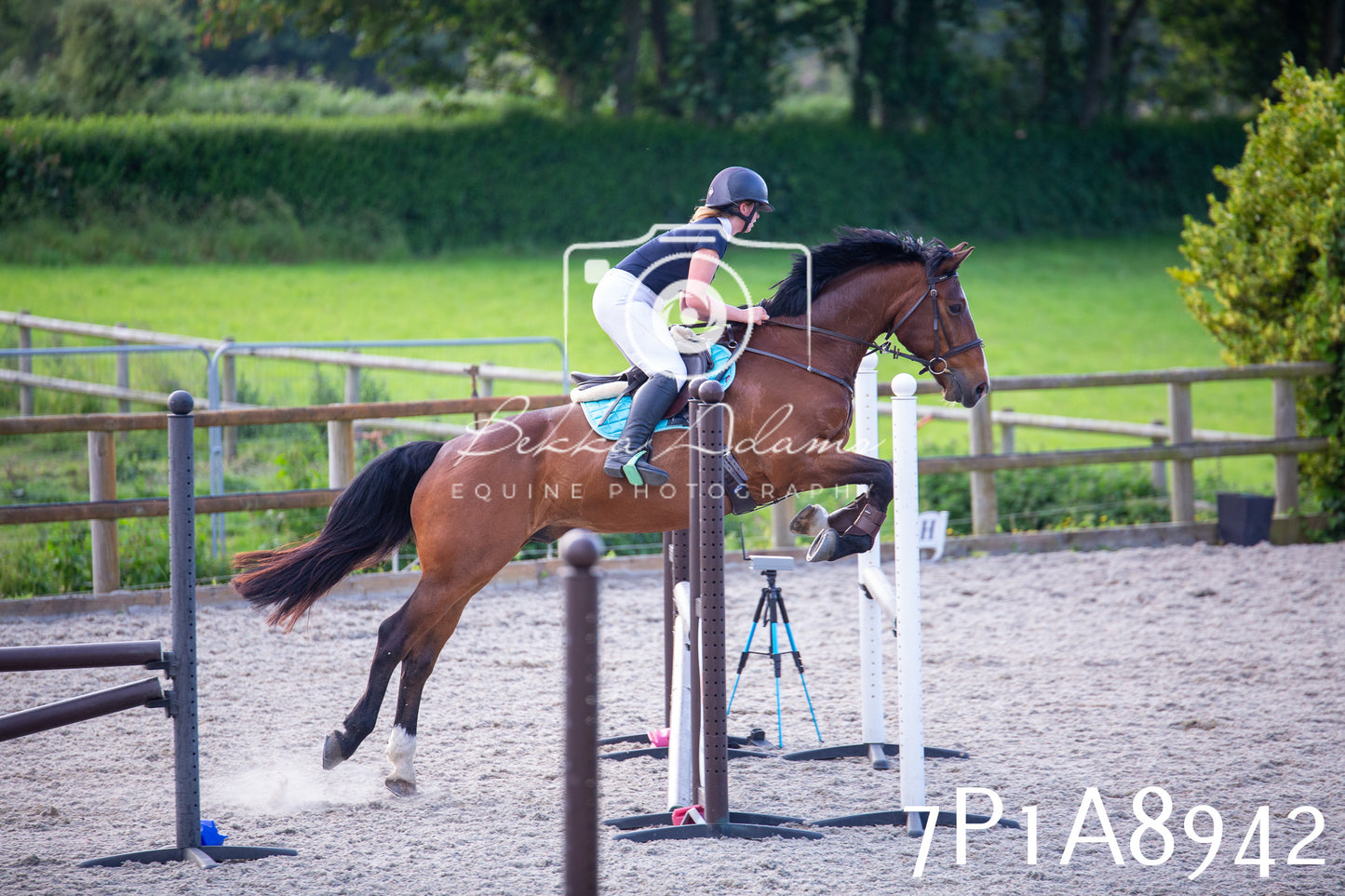 Home Farm Evening Show Jumping 11th June 2025