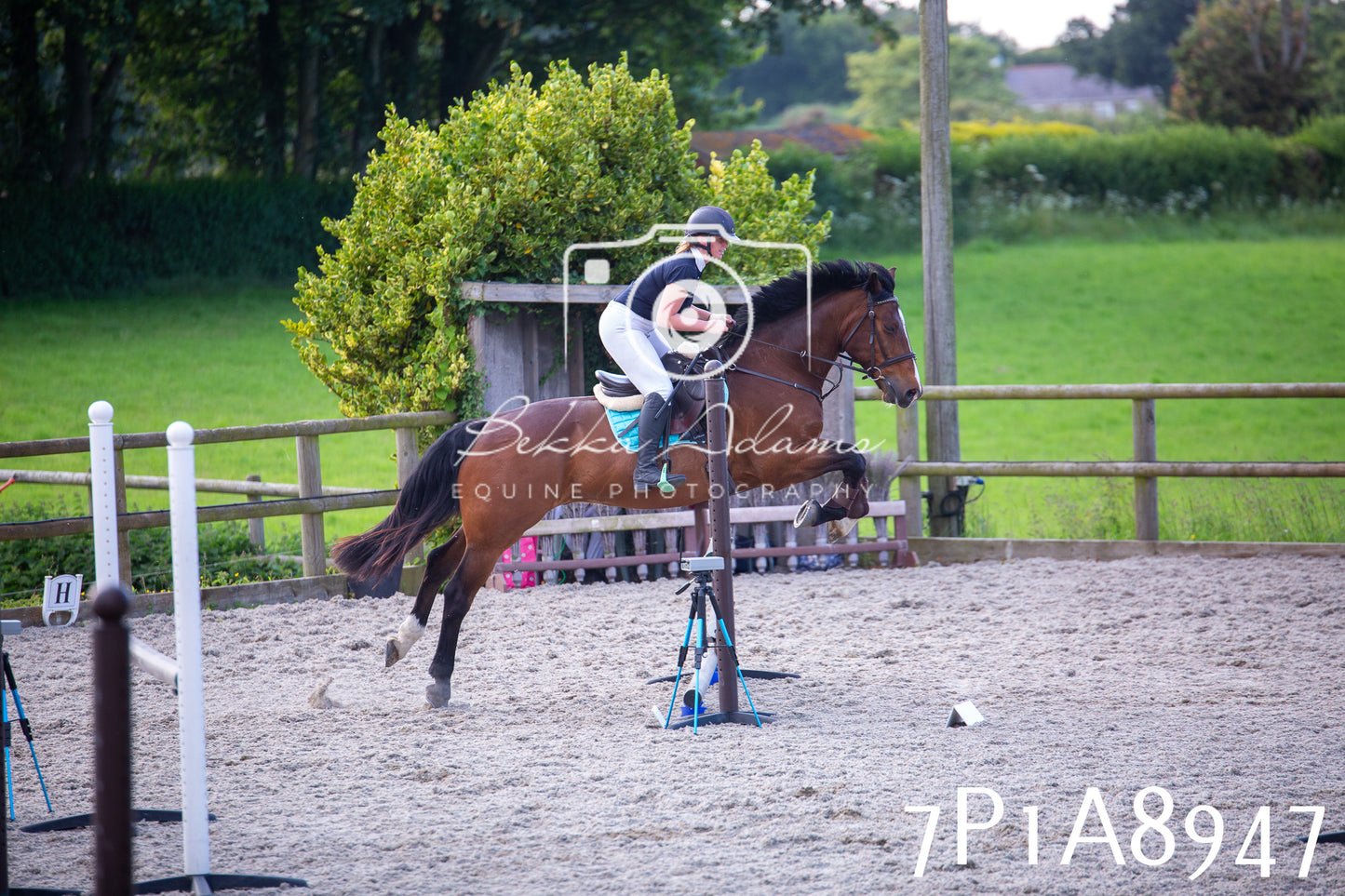 Home Farm Evening Show Jumping 11th June 2025