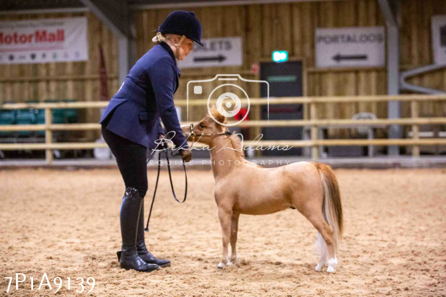 Home Farm Spring Show - Inhand Showing 23rd March 2024 - Part 1