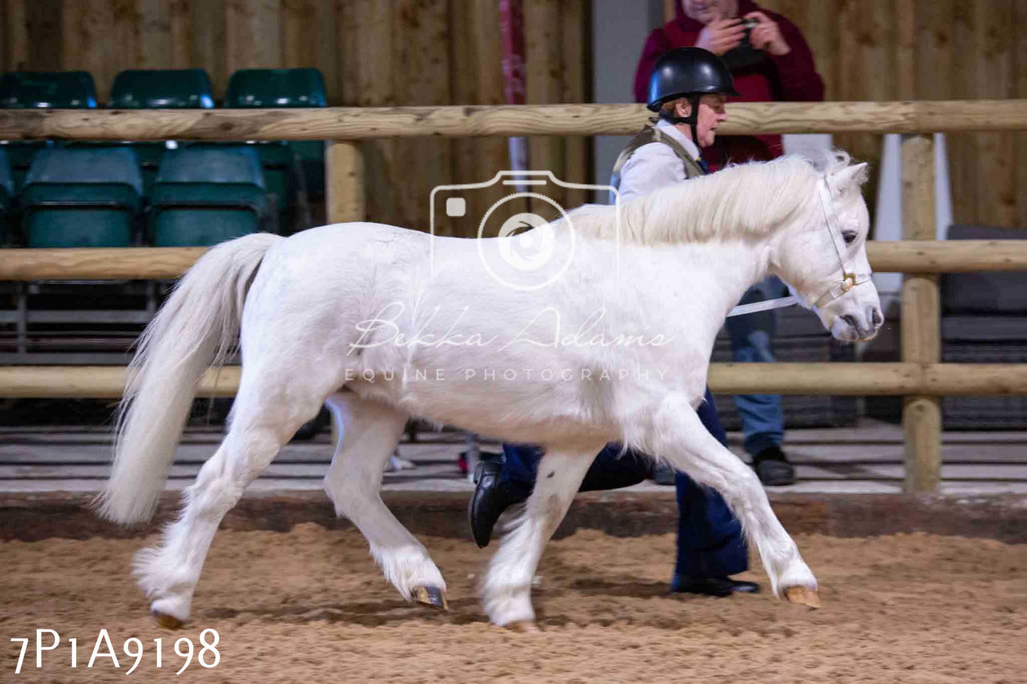 Home Farm Spring Show - Inhand Showing 23rd March 2024 - Part 1