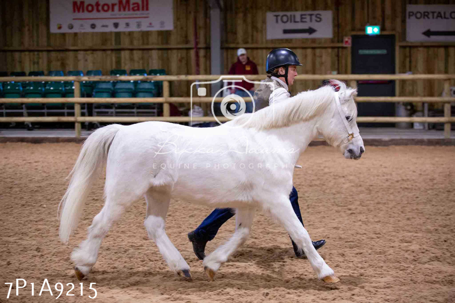 Home Farm Spring Show - Inhand Showing 23rd March 2024 - Part 1