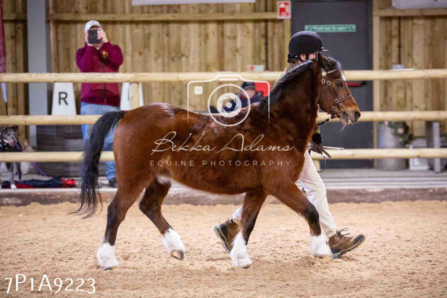 Home Farm Spring Show - Inhand Showing 23rd March 2024 - Part 1