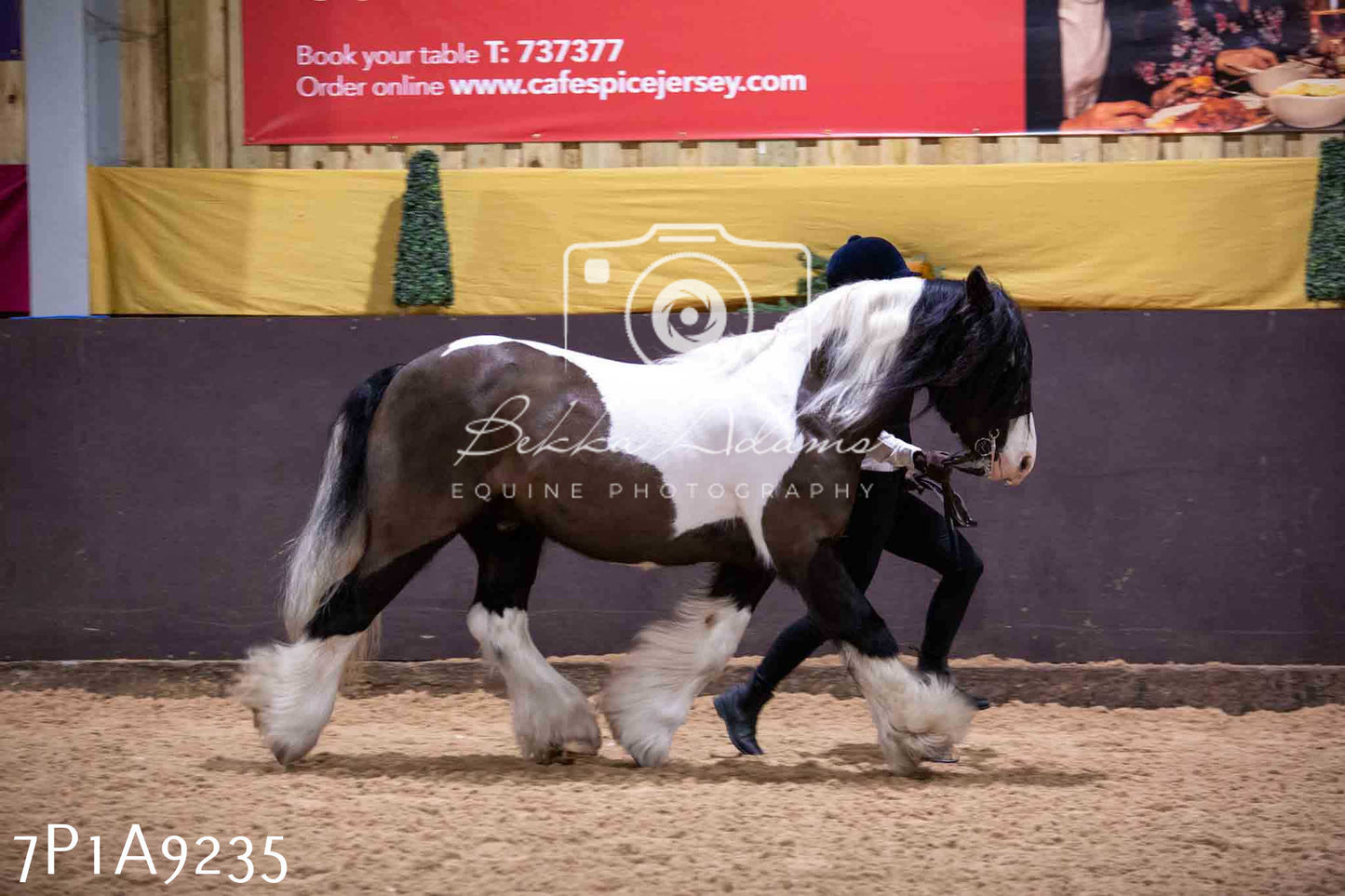 Home Farm Spring Show - Inhand Showing 23rd March 2024 - Part 1