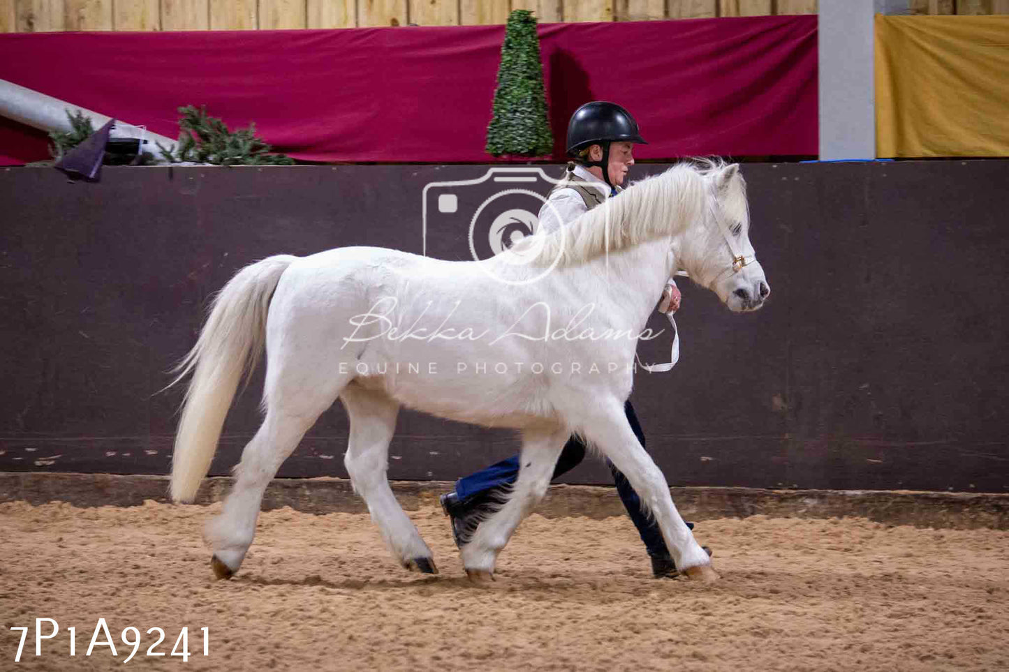 Home Farm Spring Show - Inhand Showing 23rd March 2024 - Part 1