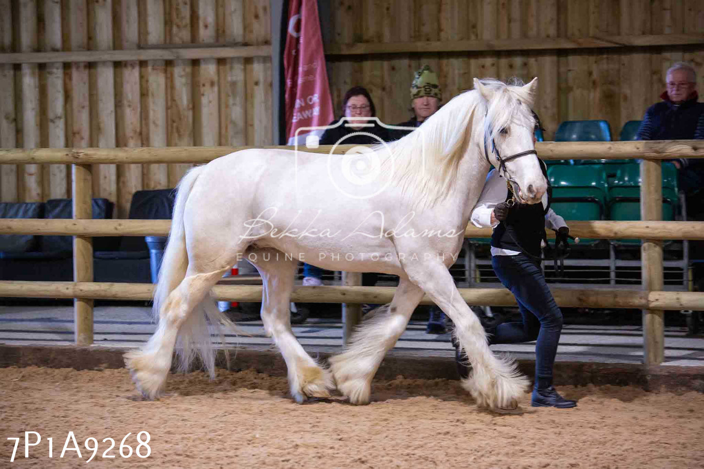 Home Farm Spring Show - Inhand Showing 23rd March 2024 - Part 1