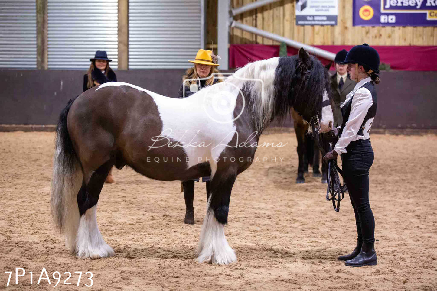 Home Farm Spring Show - Inhand Showing 23rd March 2024 - Part 1