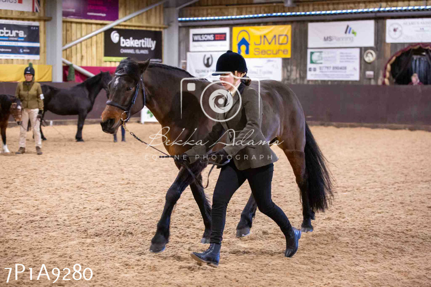 Home Farm Spring Show - Inhand Showing 23rd March 2024 - Part 1